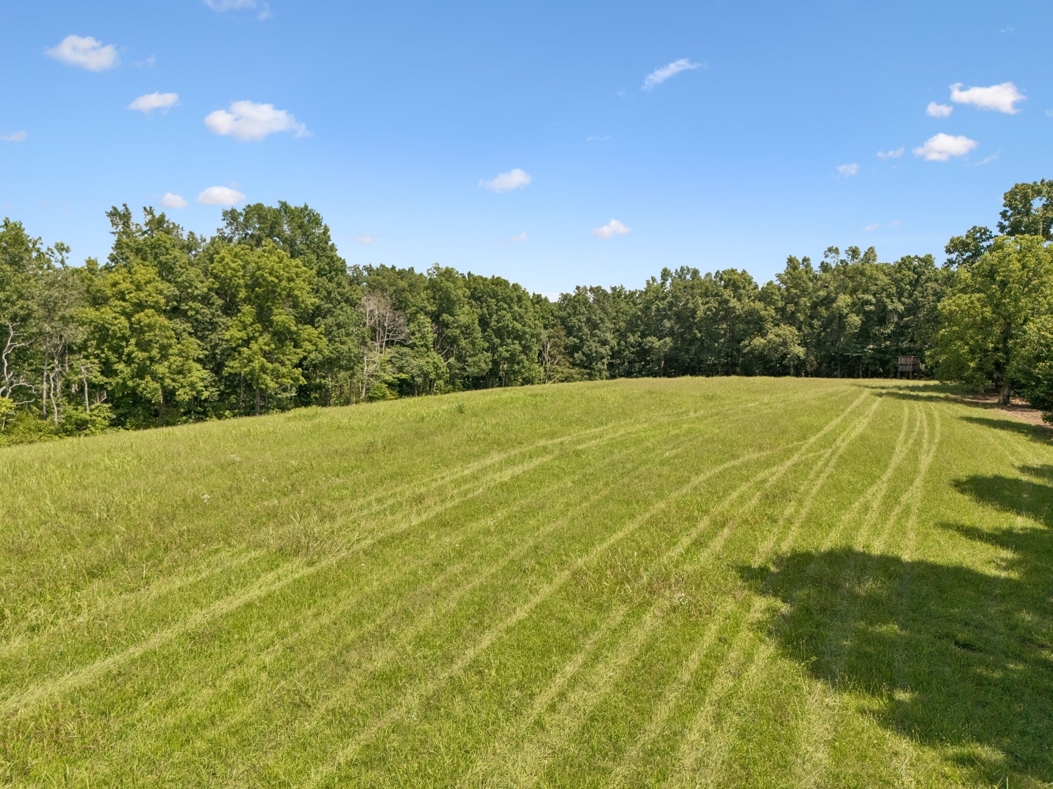 7700 Daugherty Capley Rd