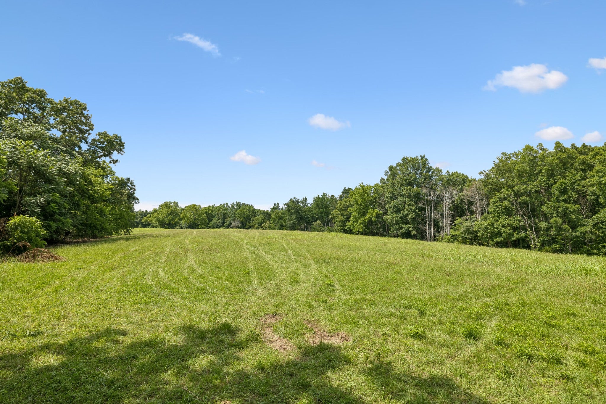 7700 Daugherty Capley Rd