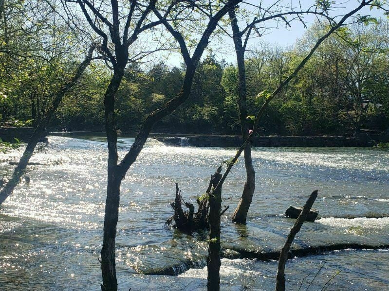 4909 Clousden Way