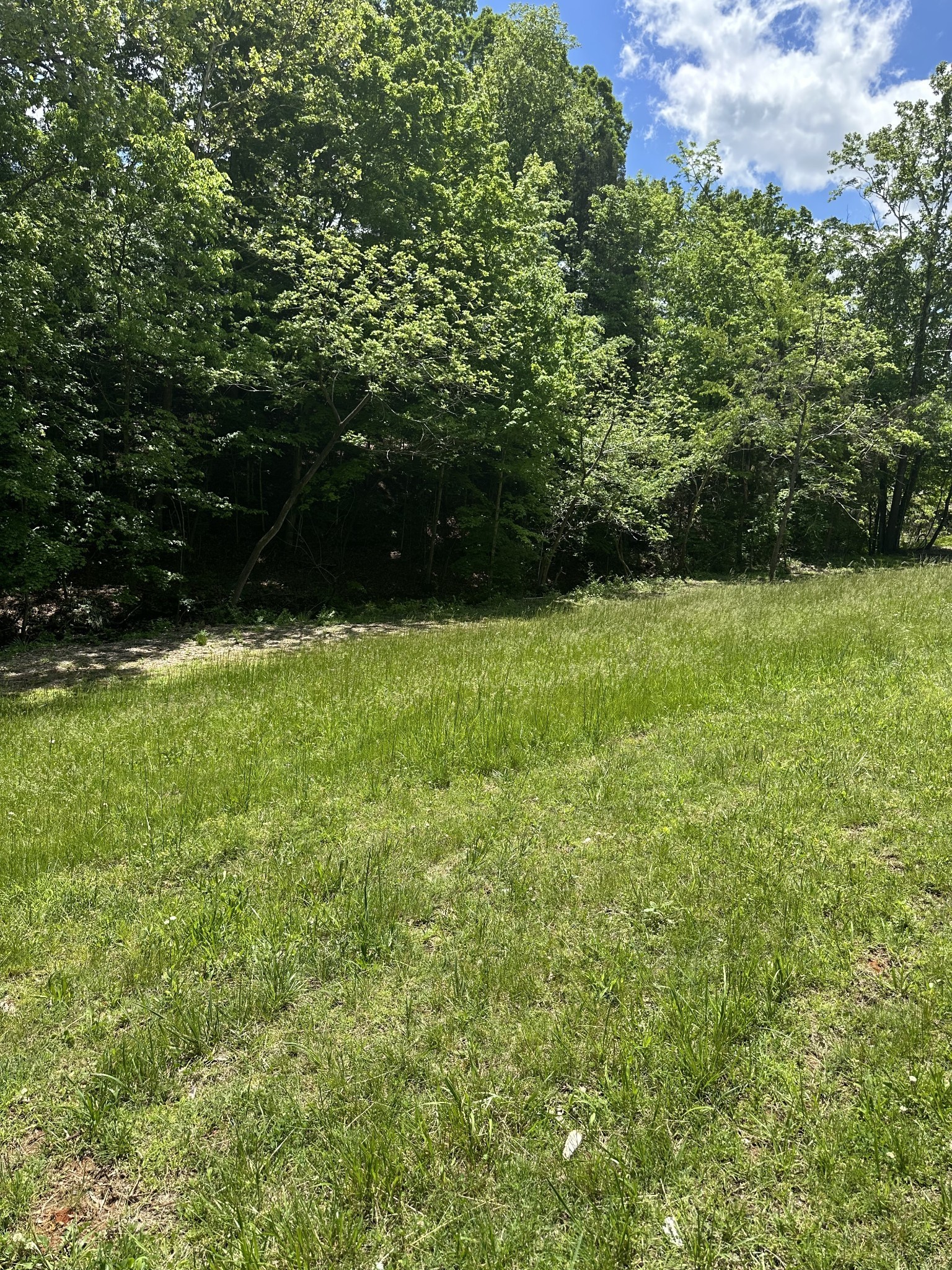 6481 Kelly Willis Rd