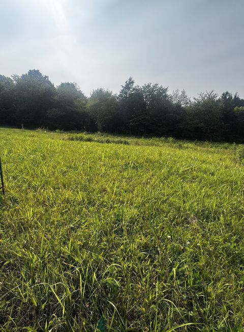 6481 Kelly Willis Rd Greenbrier TN 37073