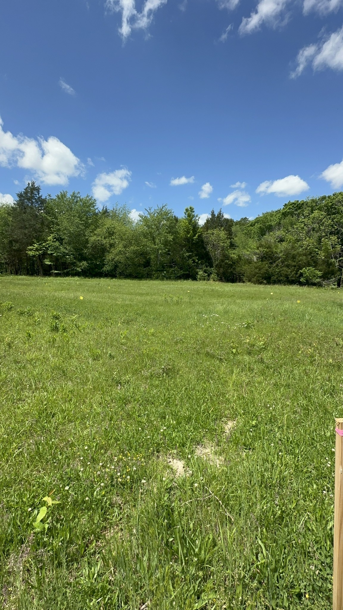 6481 Kelly Willis Rd