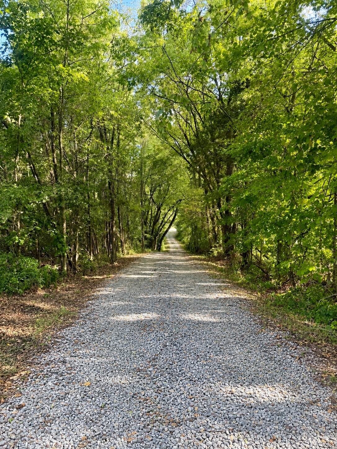 2177 Highway 76