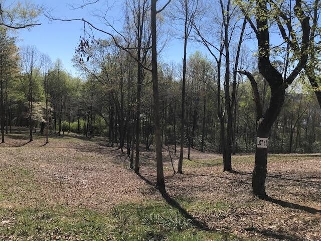 15 Piney View Drive
