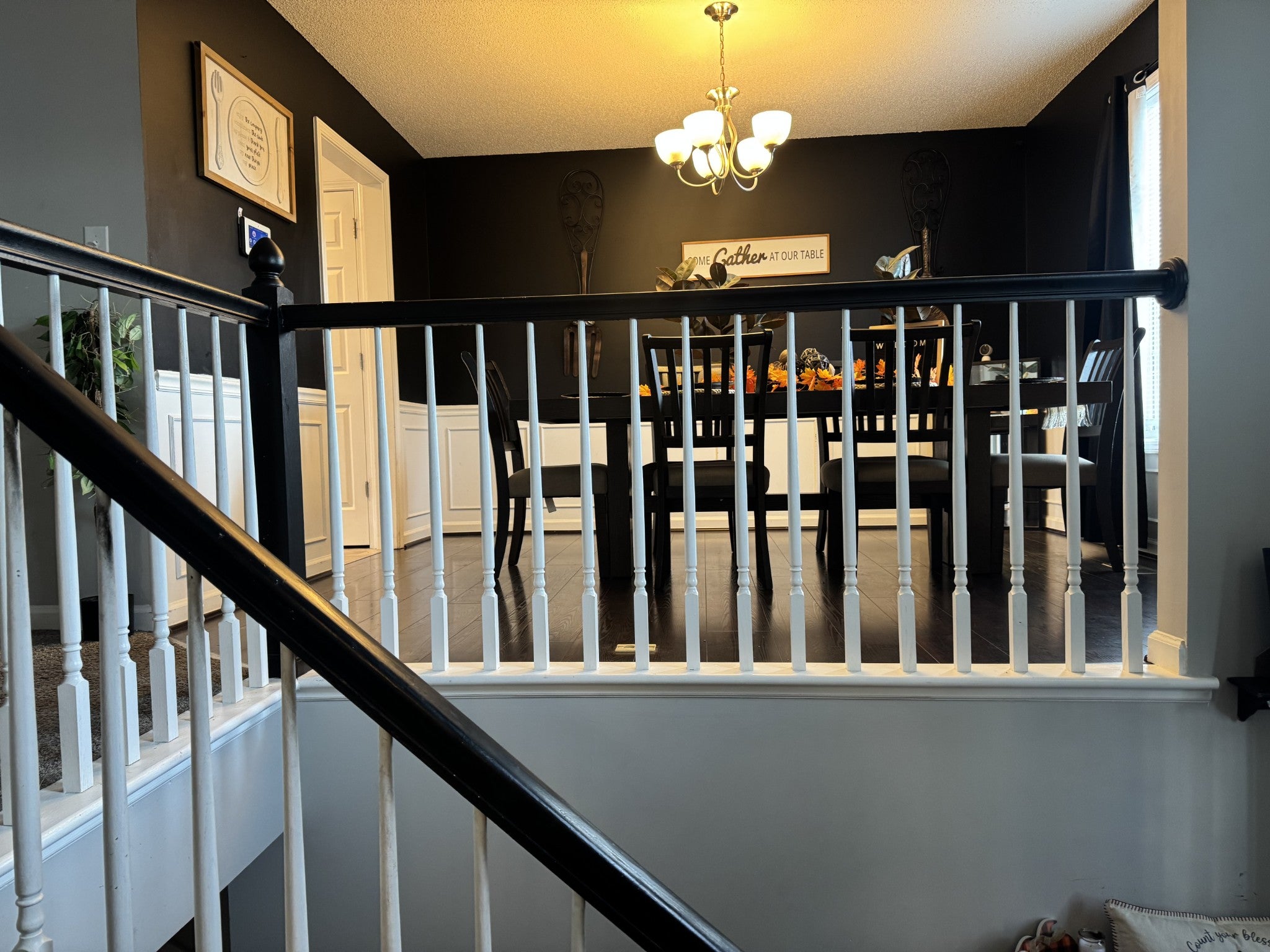 3393 Dresden Way