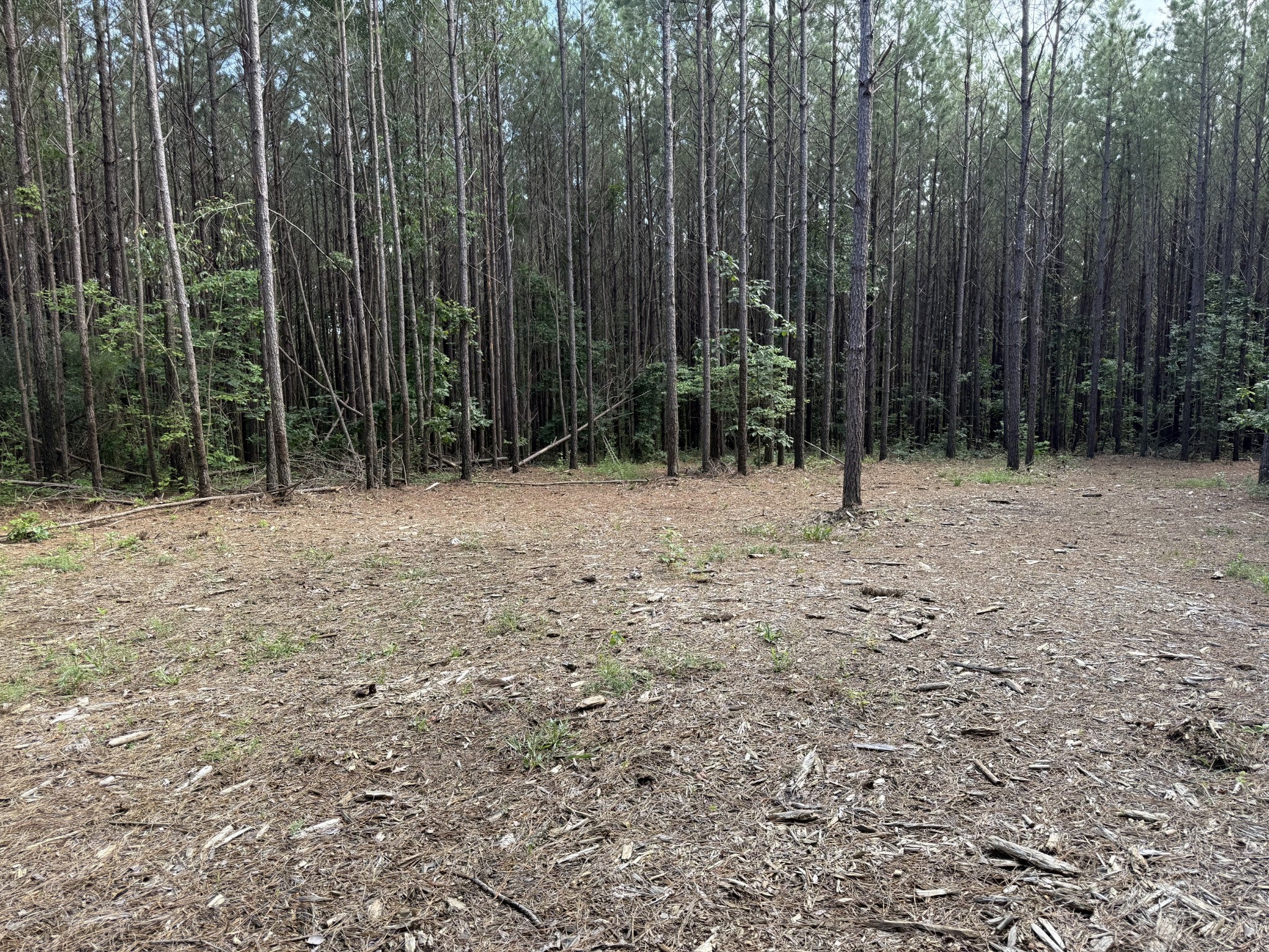 191 Seiber Ridge RD
