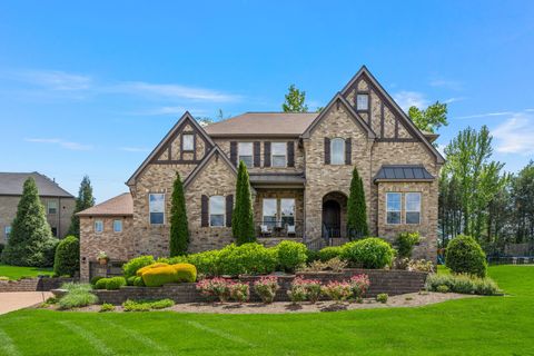 4029 Kings Camp Pass Arrington TN 37014