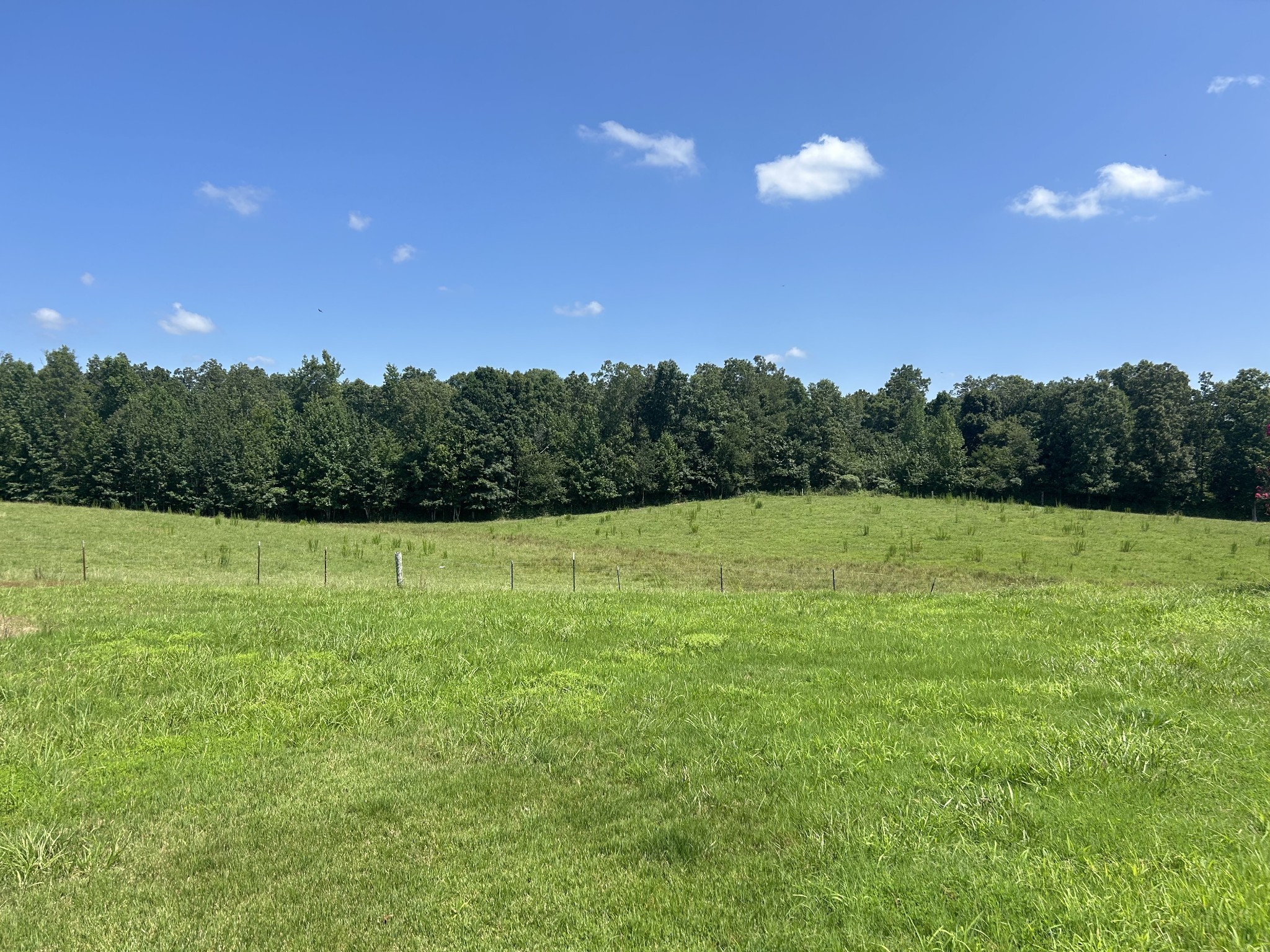 3421 George Olive Rd