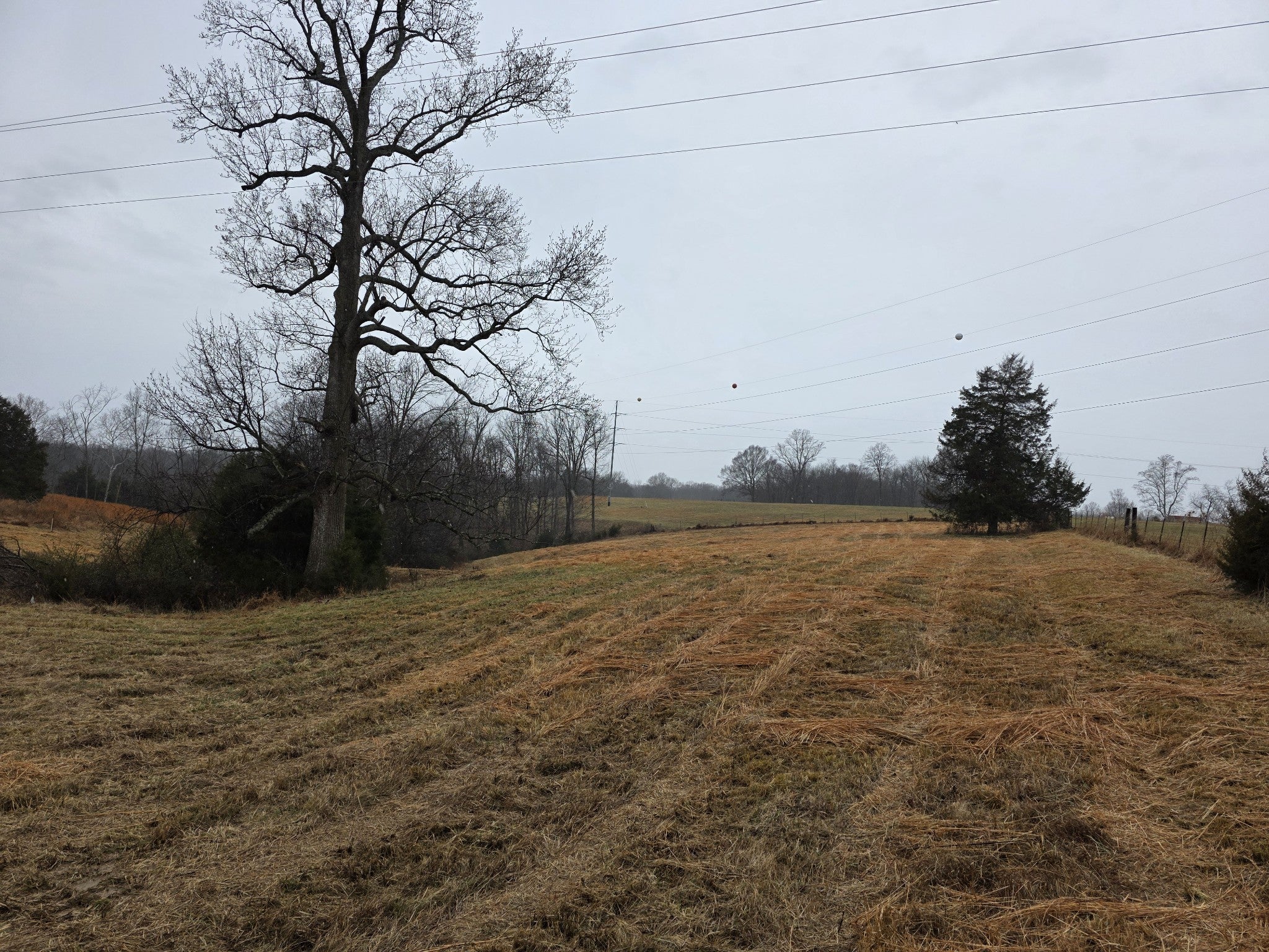 0 Scottsville Rd