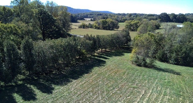 0 Holders Cove Rd