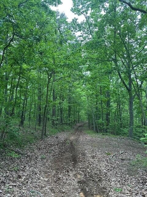 3958 Hwy 156