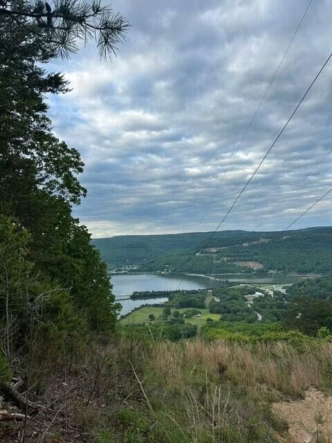 3958 Hwy 156 South Pittsburg TN 37380