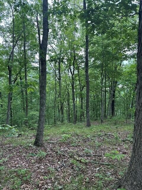3958 Hwy 156