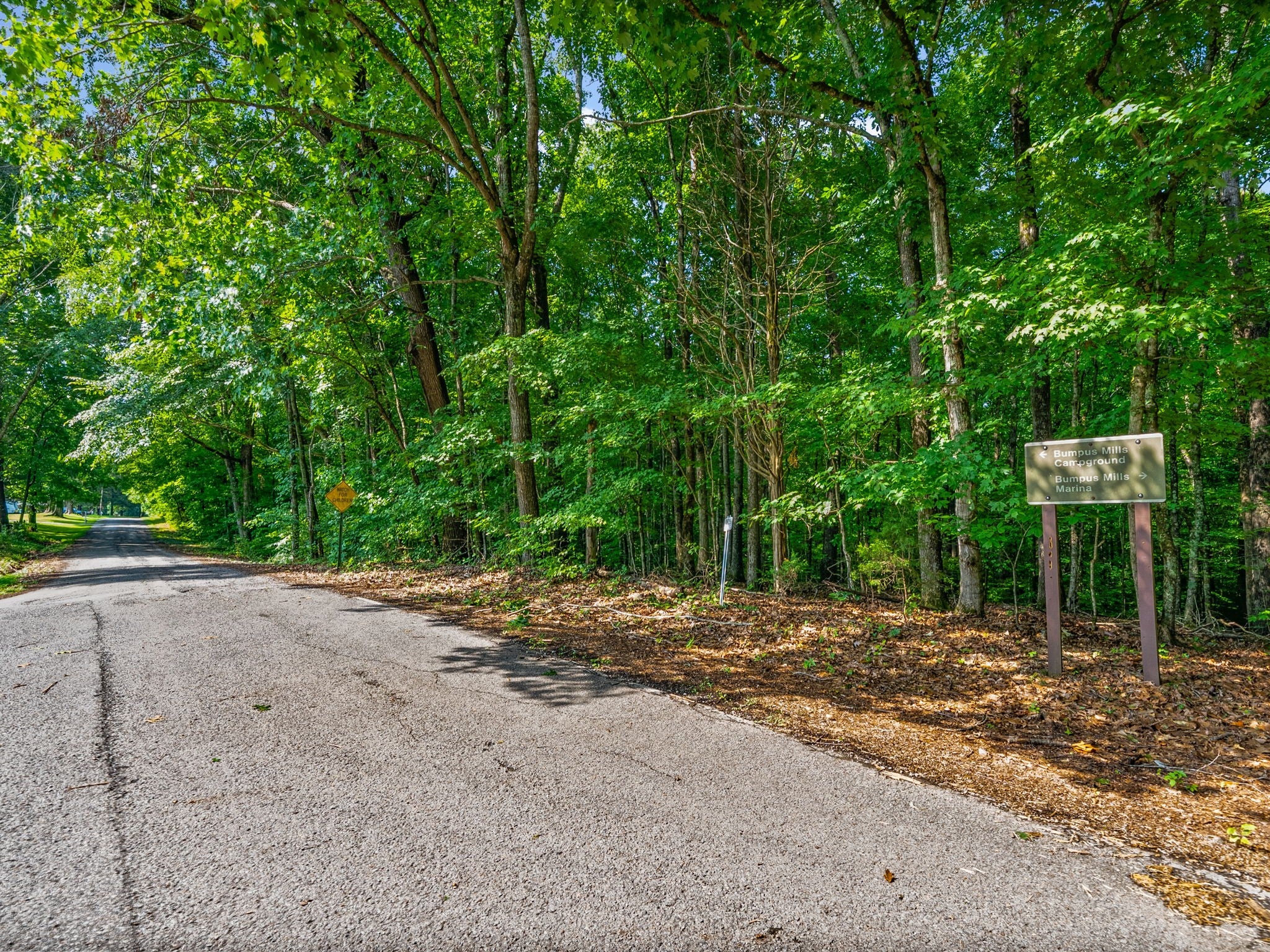 0 Forest Trail