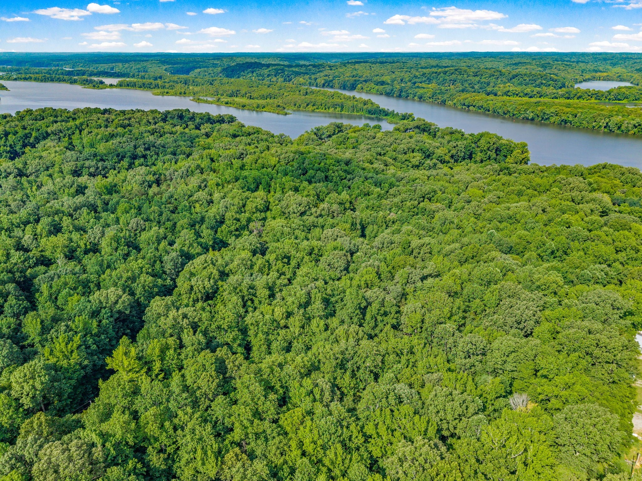 0 Forest Trail