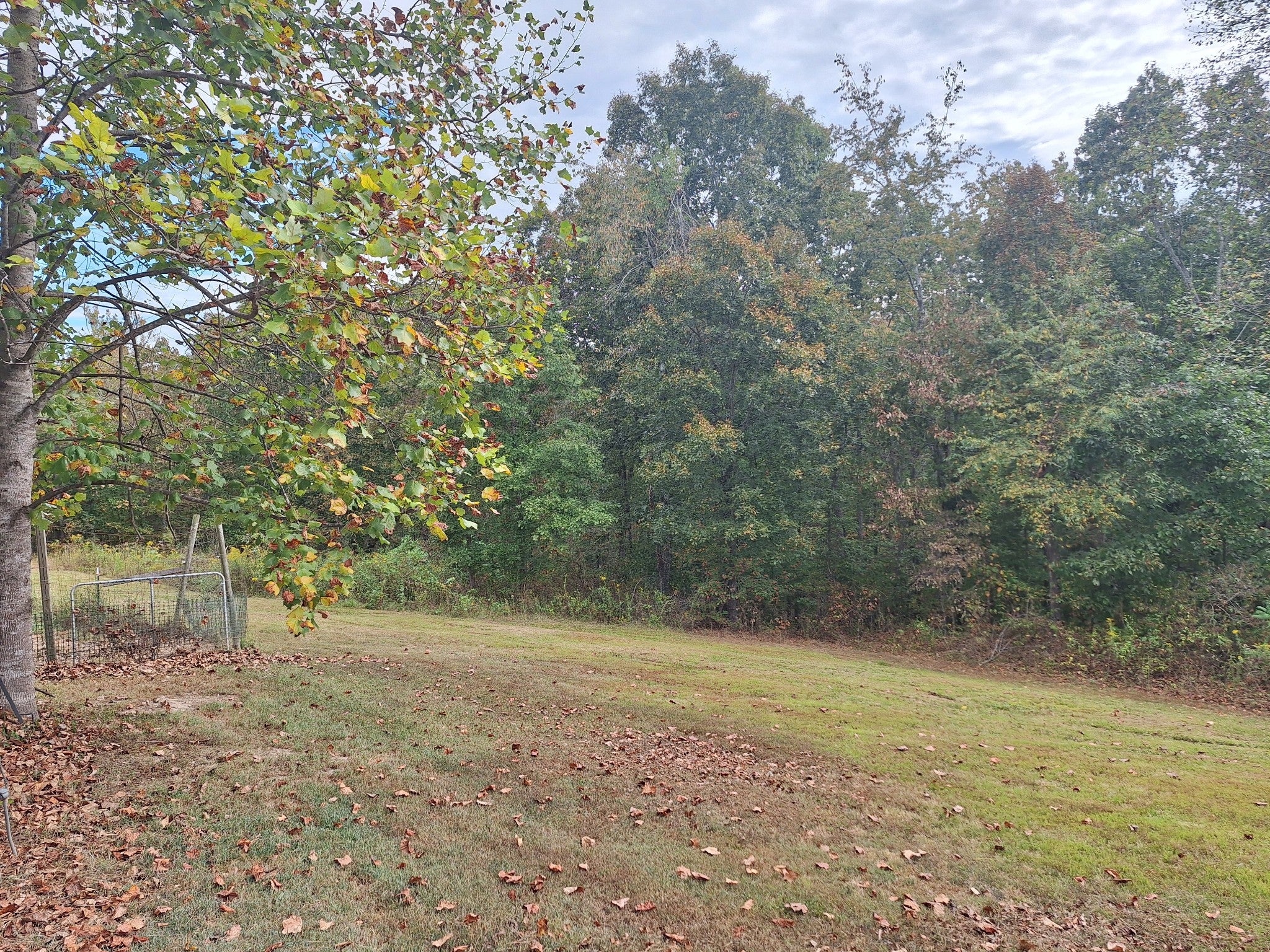 628 Mink Branch Acres Dr