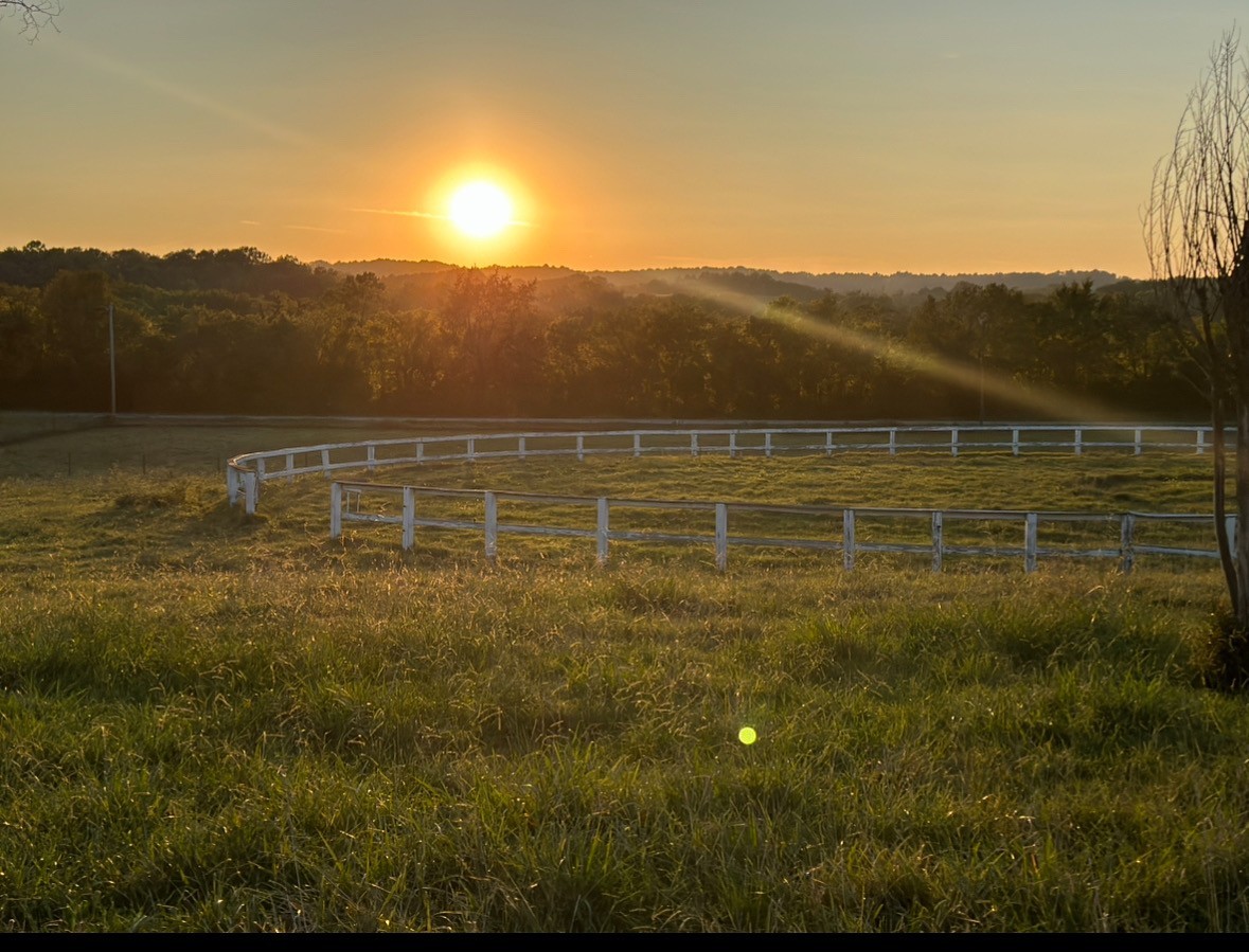 1485 Cornersville Hwy