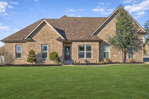 Photo of 233 Waldron View Dr, Murfreesboro, TN 37130 (MLS # 3098197)