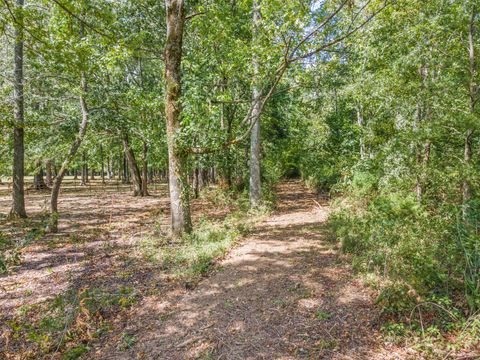 0 Spur Road Decherd TN 37324