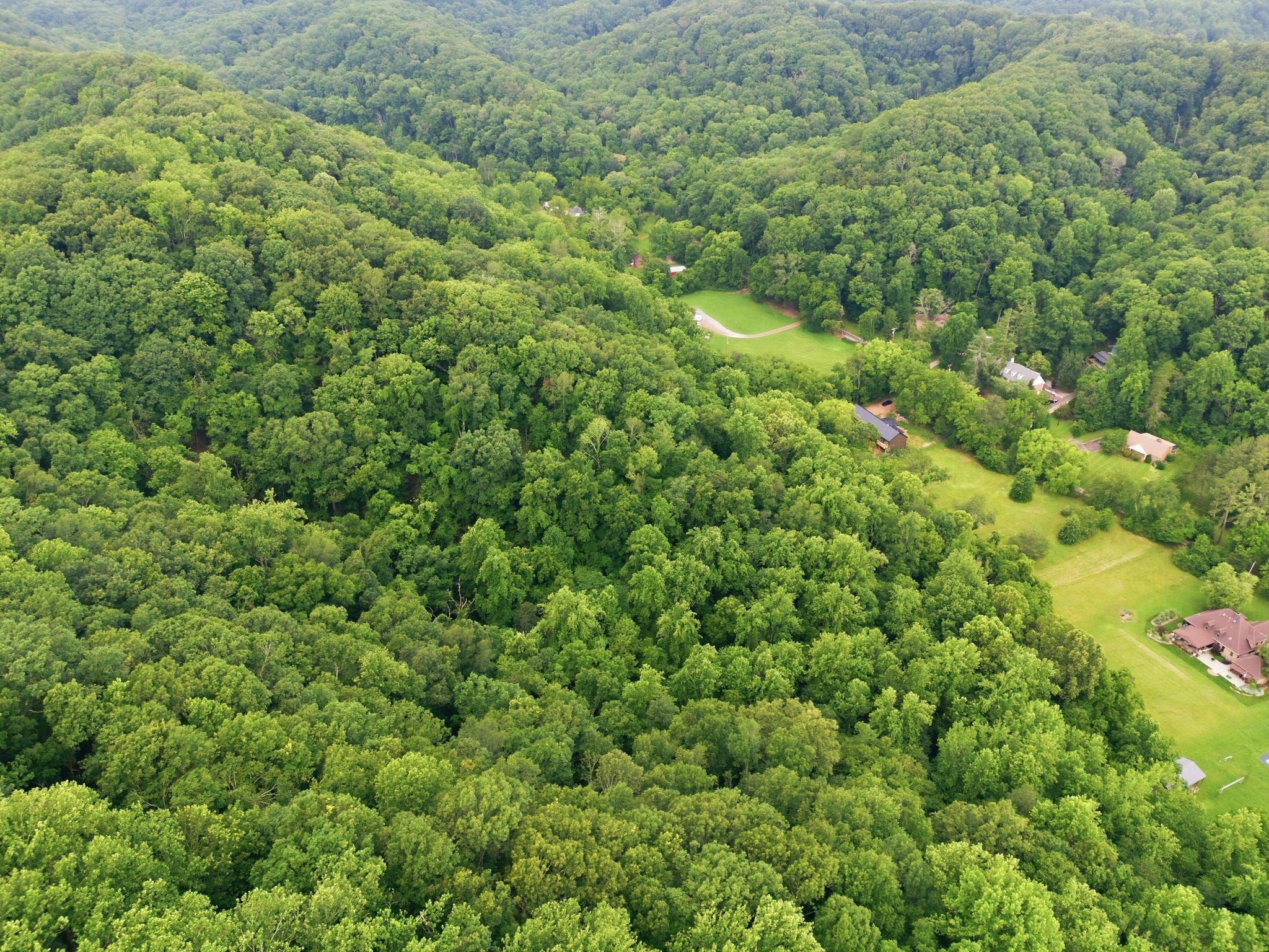 5034 Seymour Hollow Rd, Whites Creek TN 37189 0-bed lot, photo 3 of 13