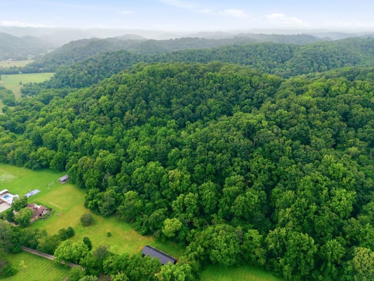 5034 SEYMOUR HOLLOW RD, WHITES CREEK, TN 37189 - Image f3e73a7b93d8b2d23e6b39d3ab033ea0/3475130316