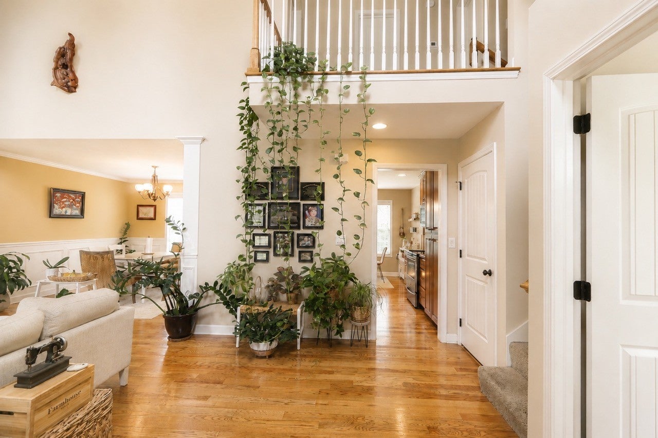 101 Brook Hollow Ct