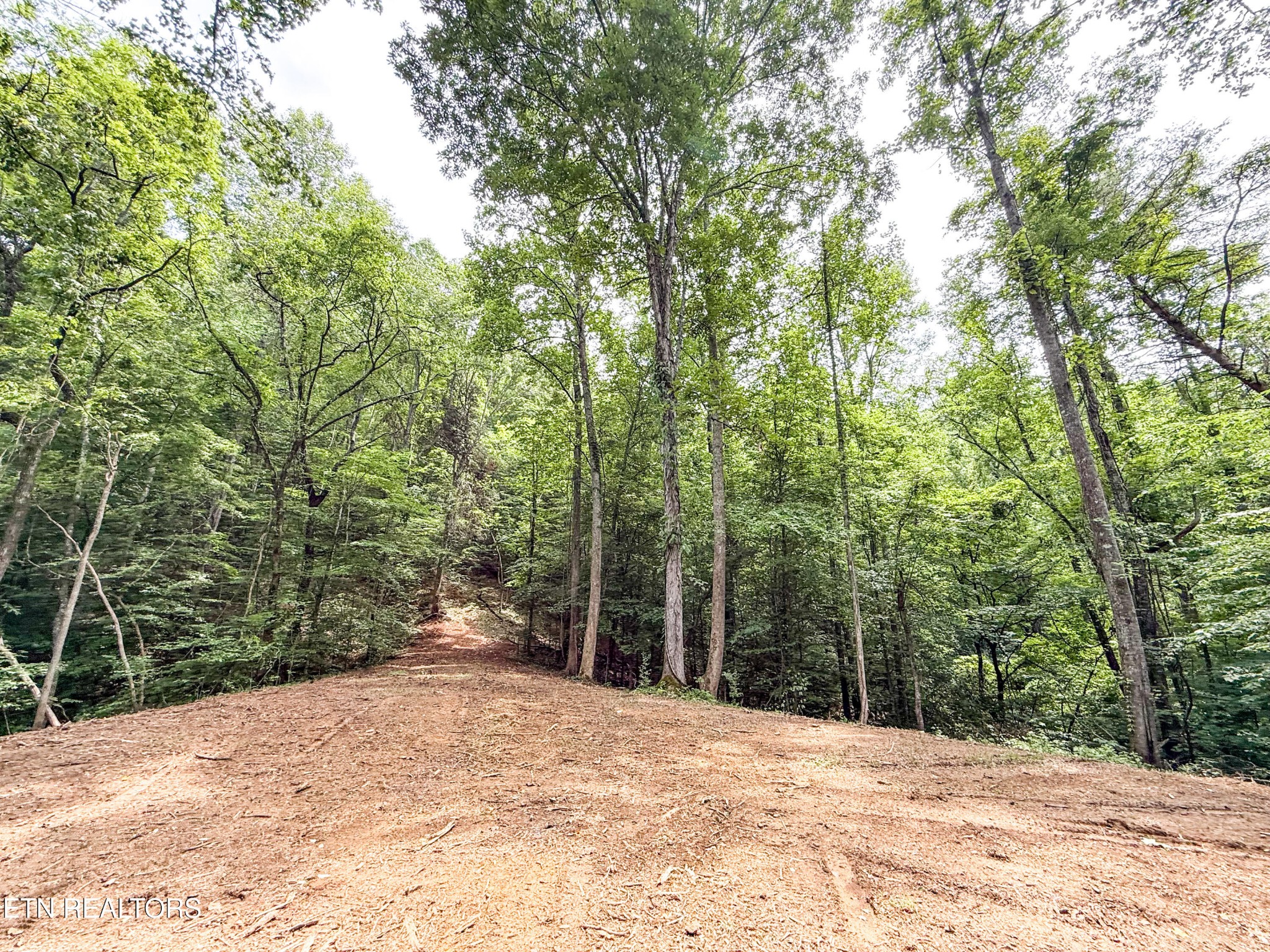 0 Forest Creek Pkwy