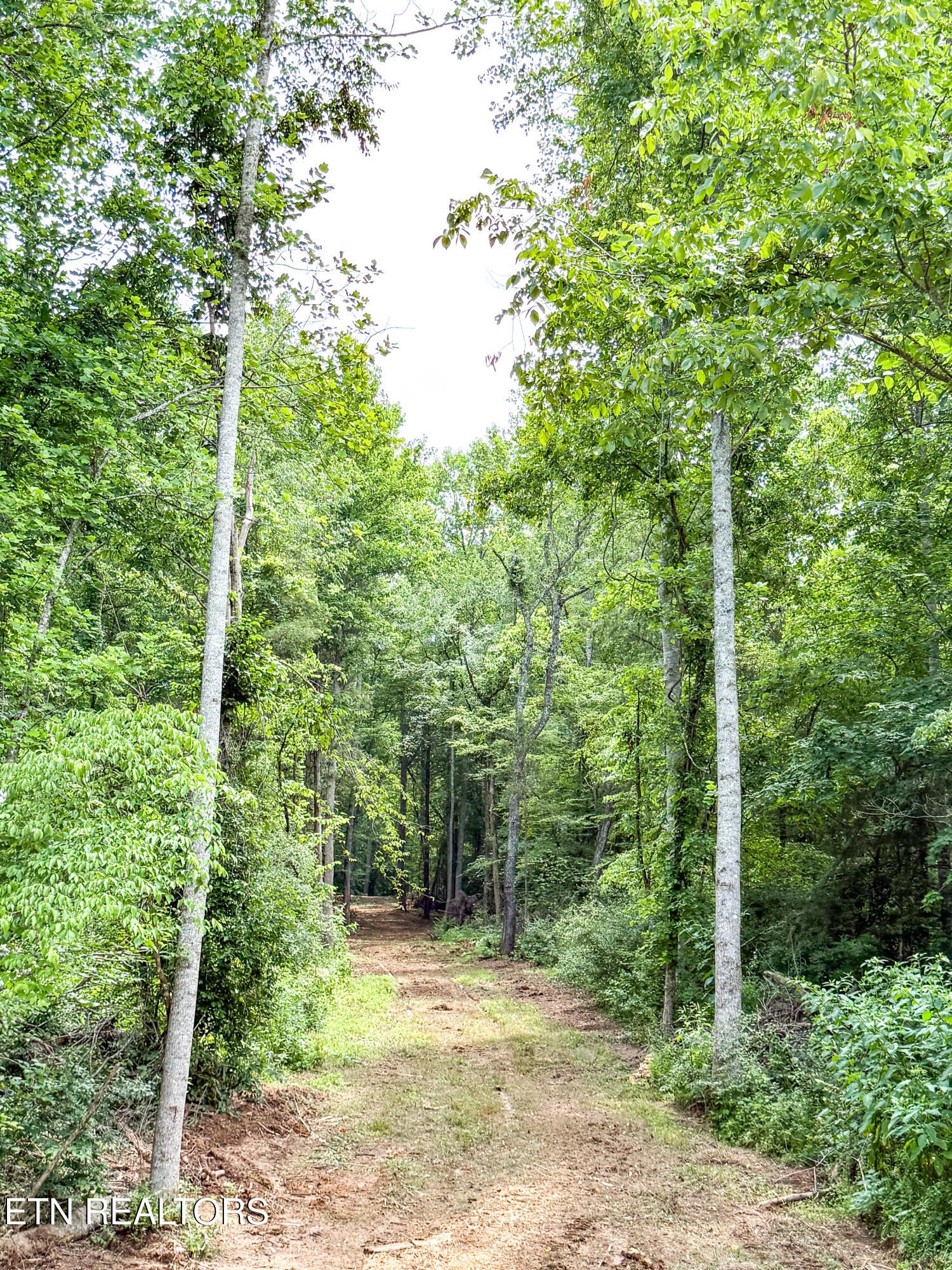 0 Forest Creek Pkwy