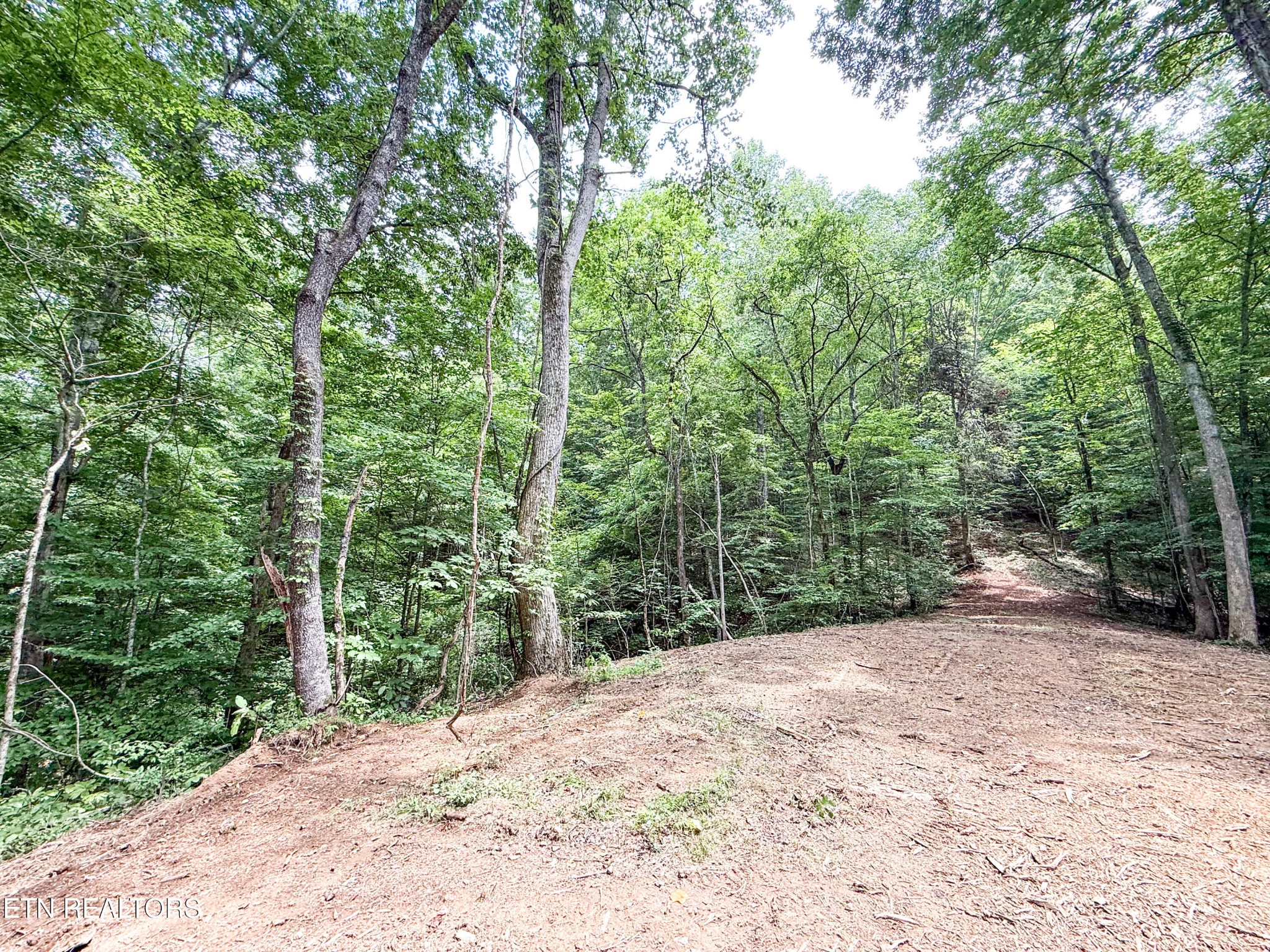 0 Forest Creek Pkwy