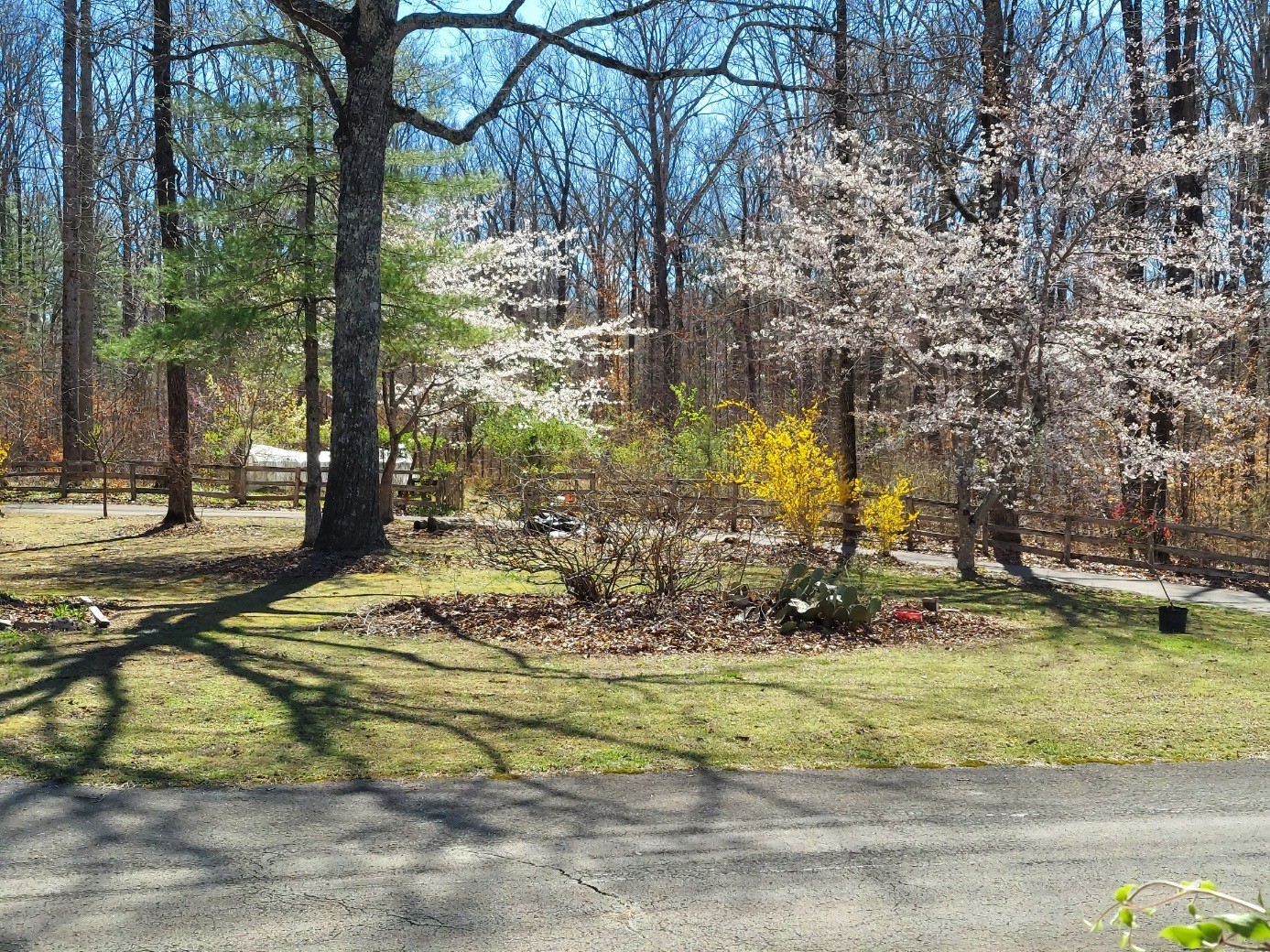 158 Gavlick Ln