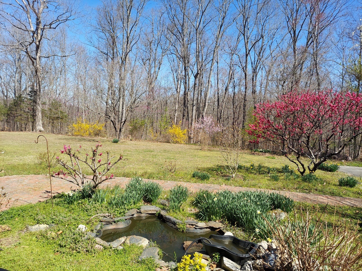 158 Gavlick Ln