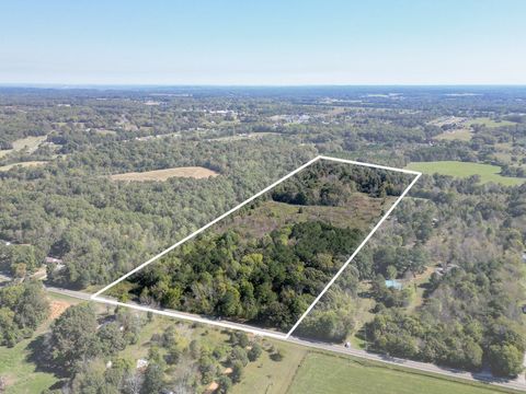 Photo of 0 Buffalo Road, Summertown, TN 38483 (MLS # 3015128)