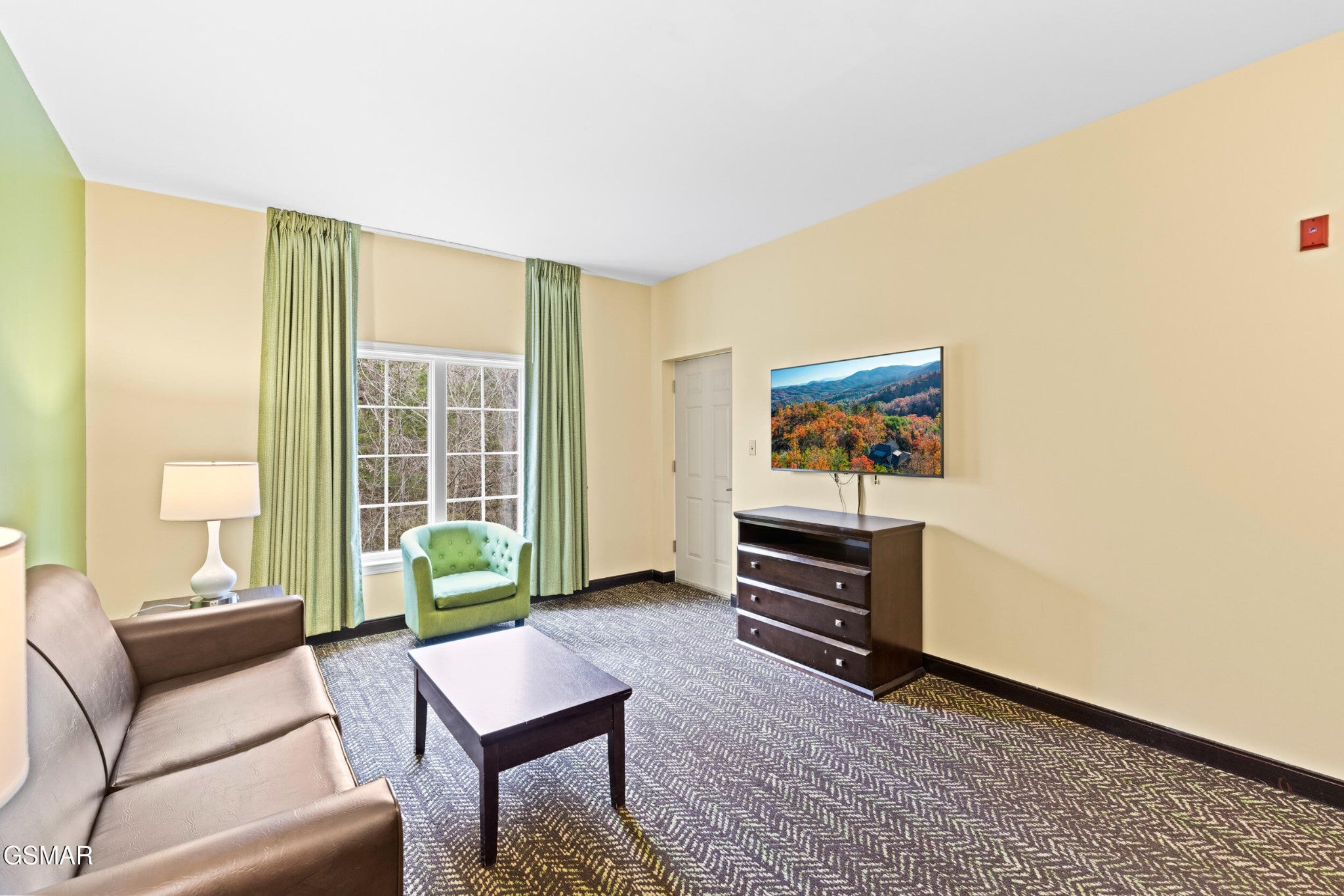 225 Collier Drive 1317