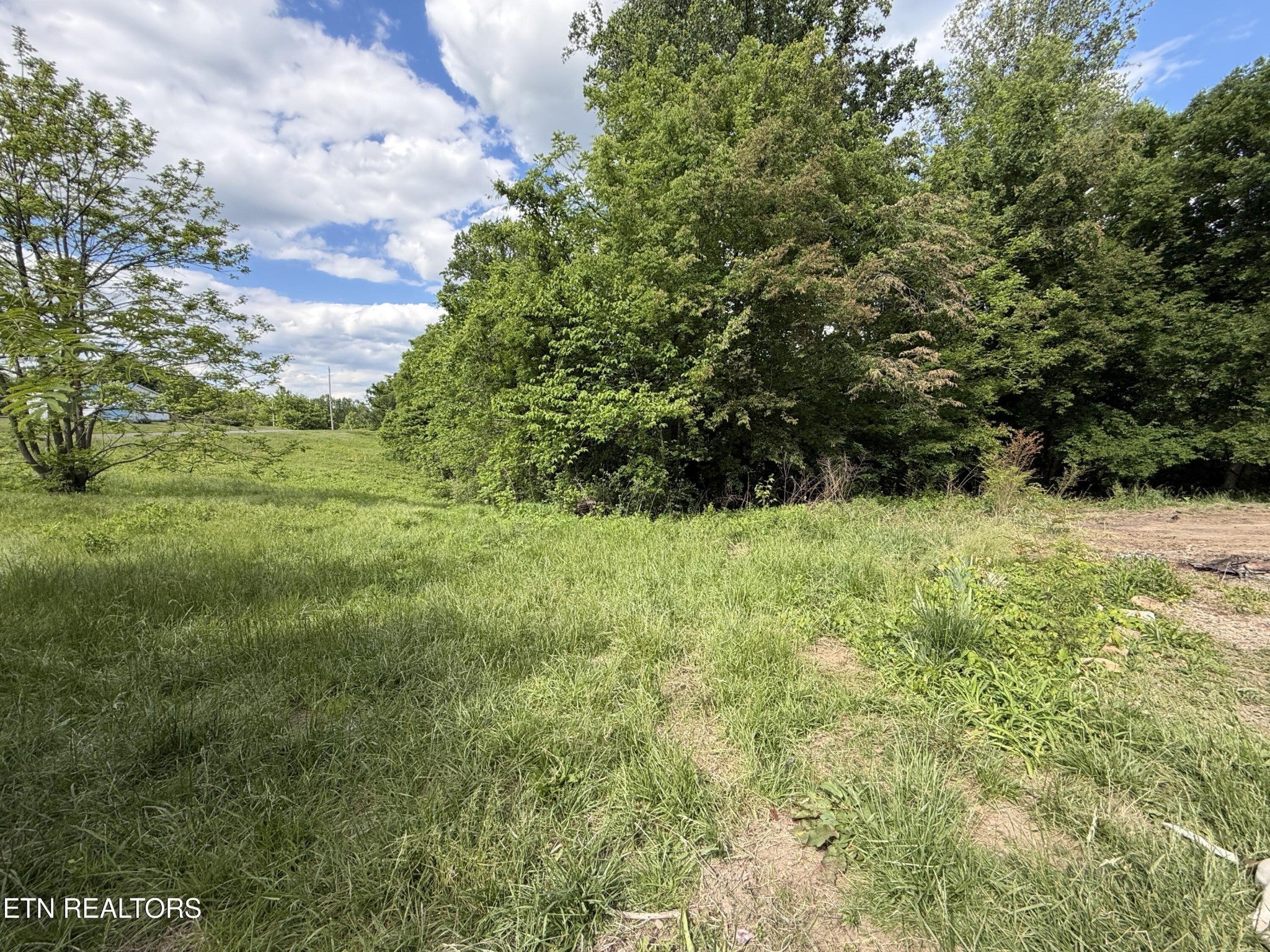 316 Wiley Town Rd