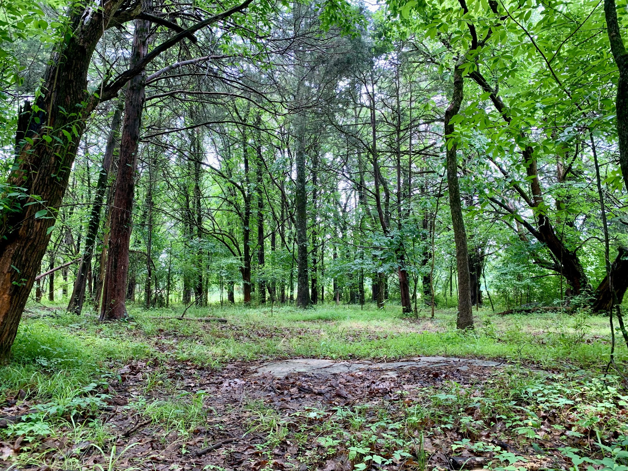 1 Rucker Road
