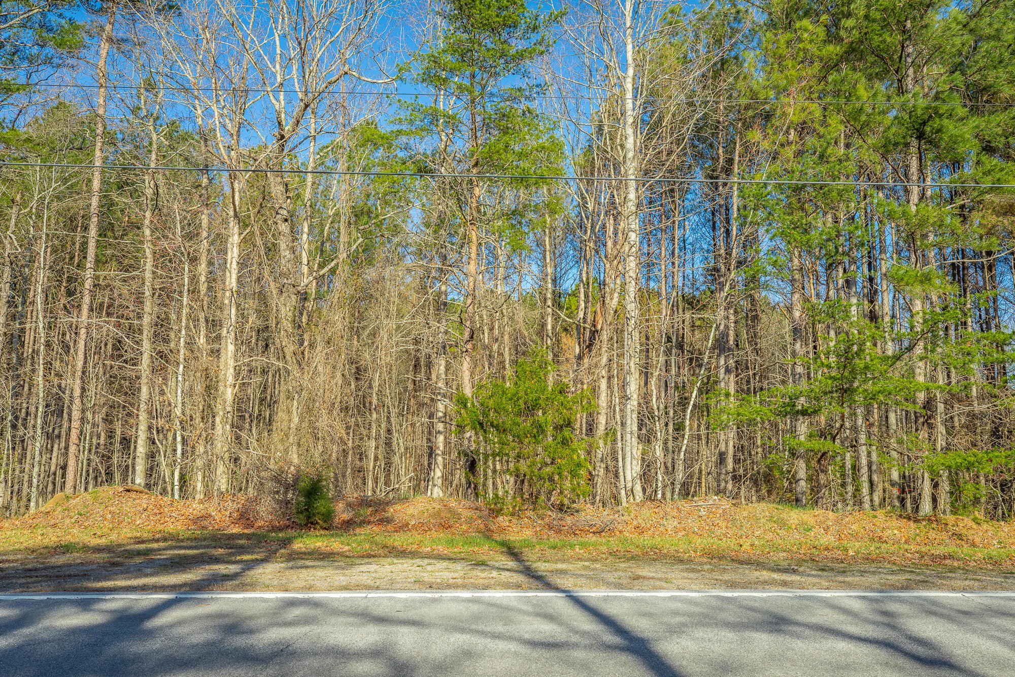 10147 S Pittsburg Mountain Road