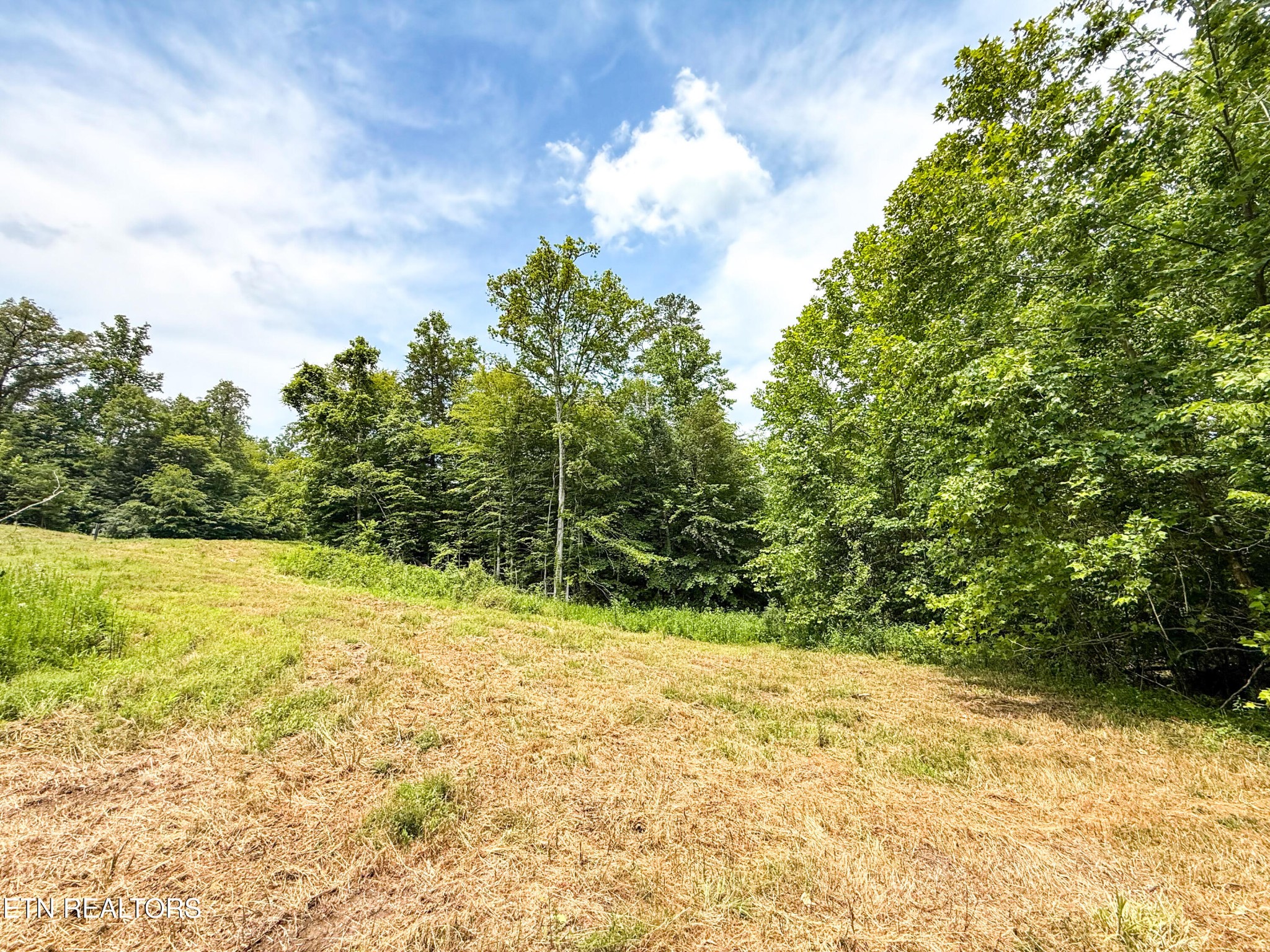 117 Cherry Oak Drive