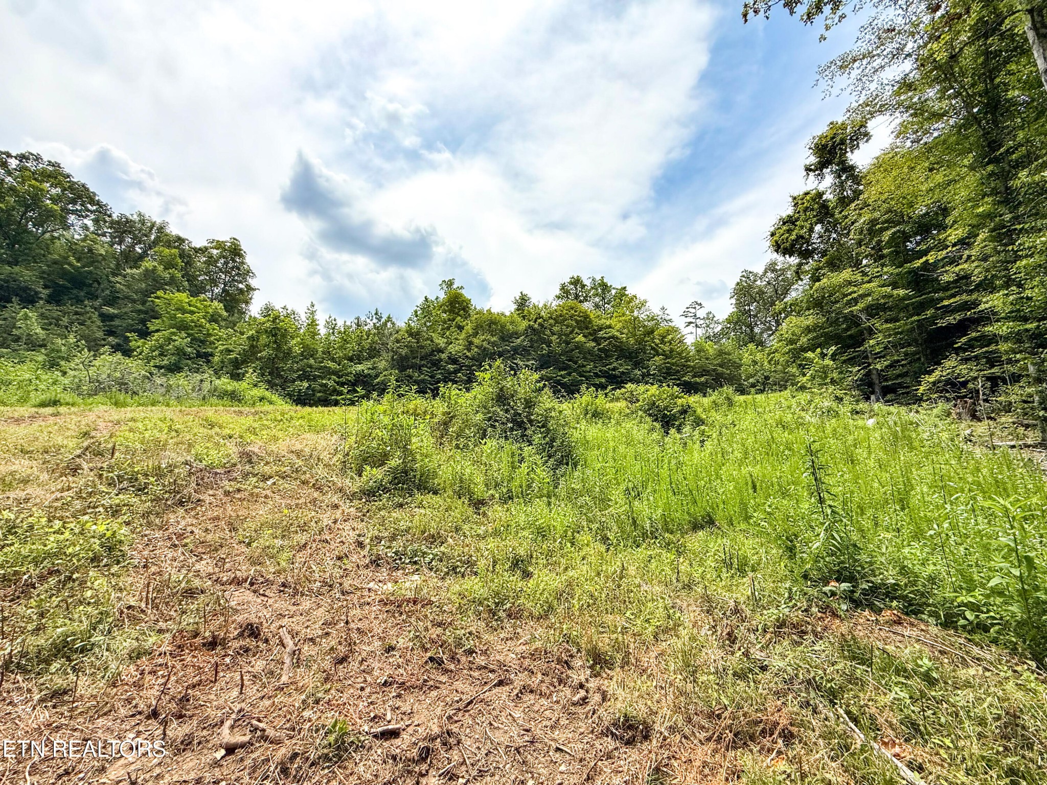 117 Cherry Oak Drive