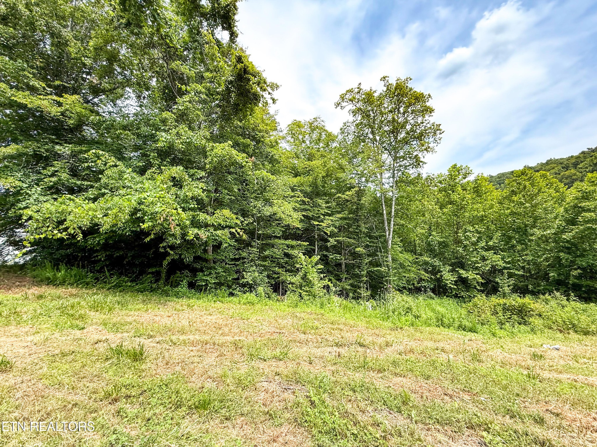 117 Cherry Oak Drive