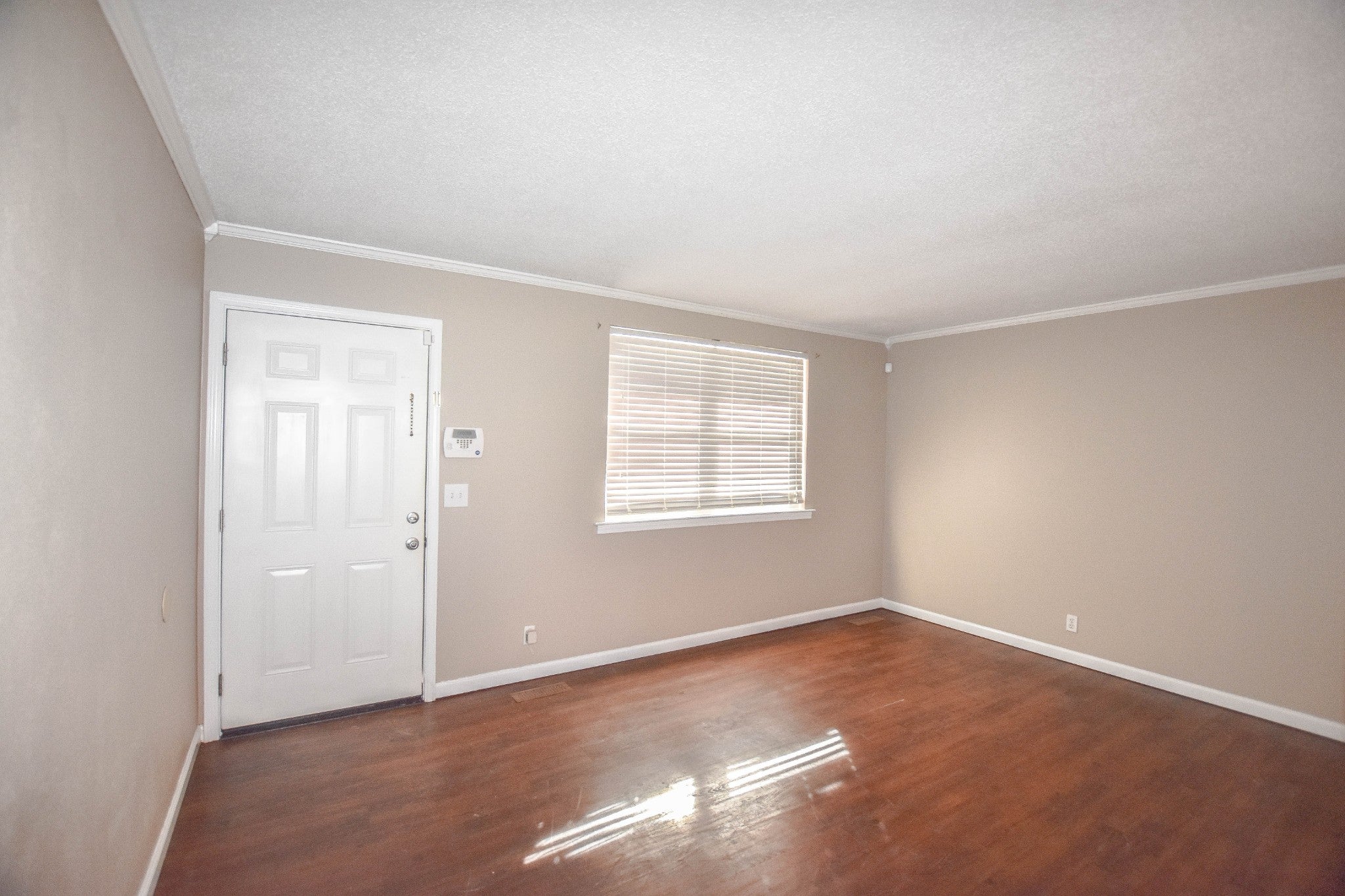 803 Lutz Lane