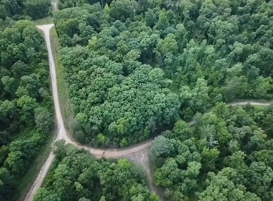 107 BEAVER RD, MIDDLETON, TN 38052 - Image f4d2d9b0f319c7ee4fdbc23f1c29ea1f/85731626