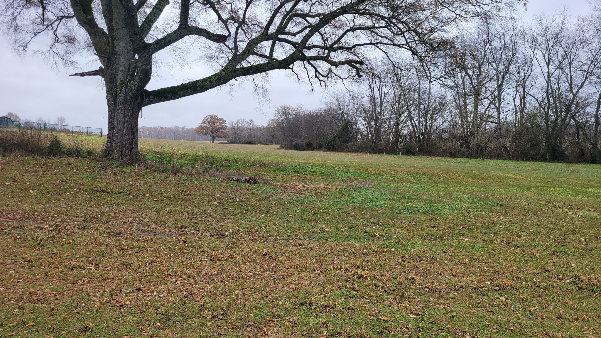 Middle Tennessee Properties 1 2917 Old McMinnville Hwy