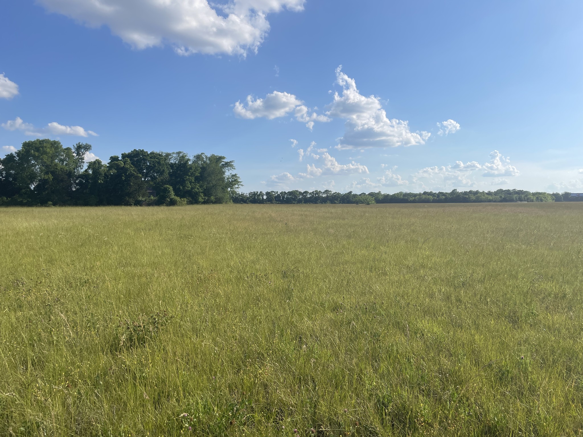4447 Manson Pike