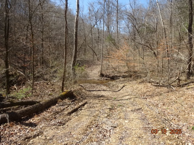 5310 Whites Creek Pike