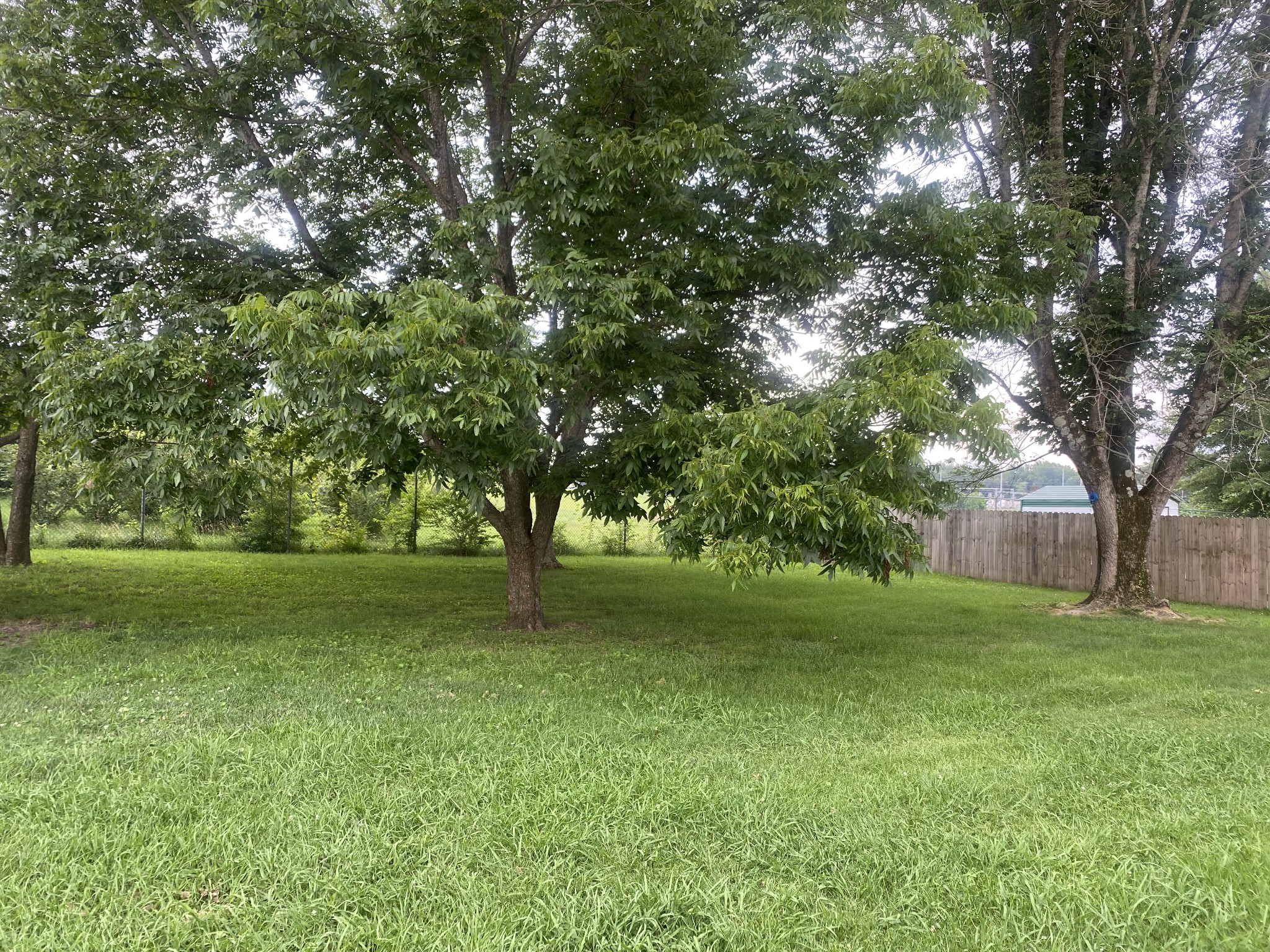 56 Garth Cir