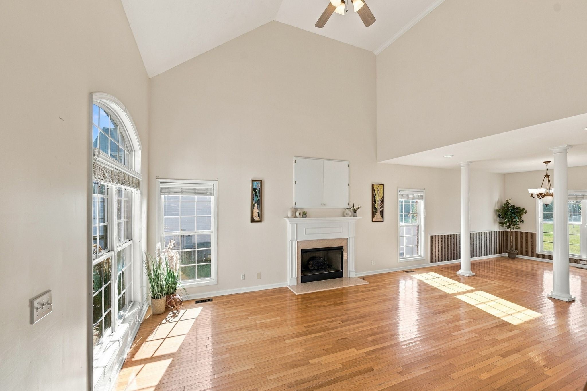2014 Elaina Jeanne Dr