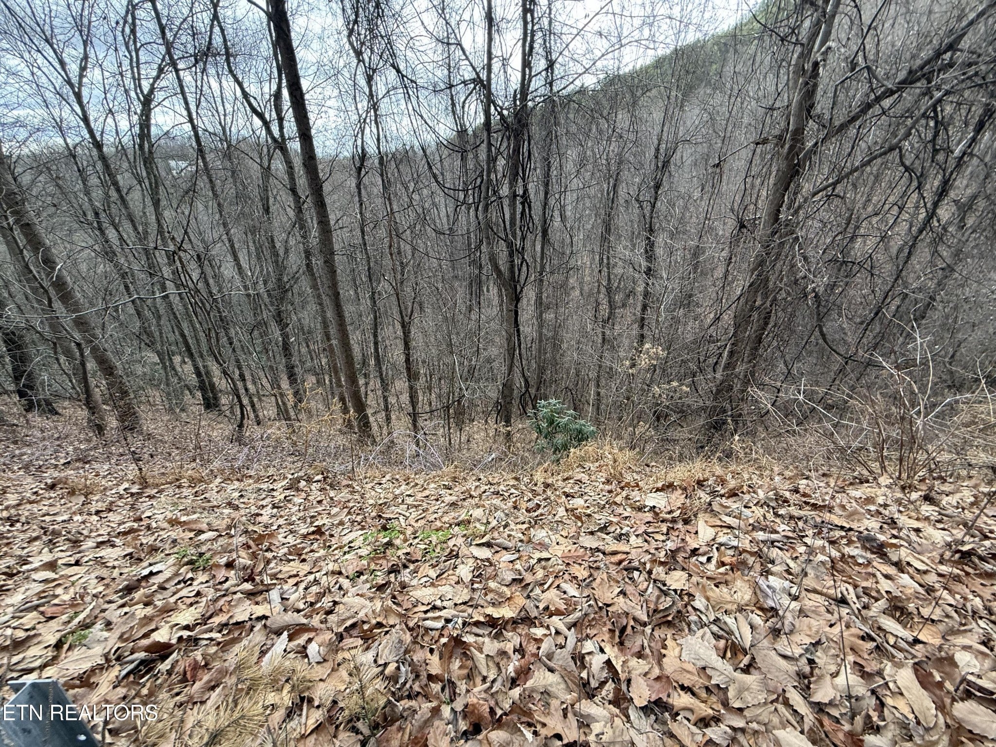 34 Alpine Drive