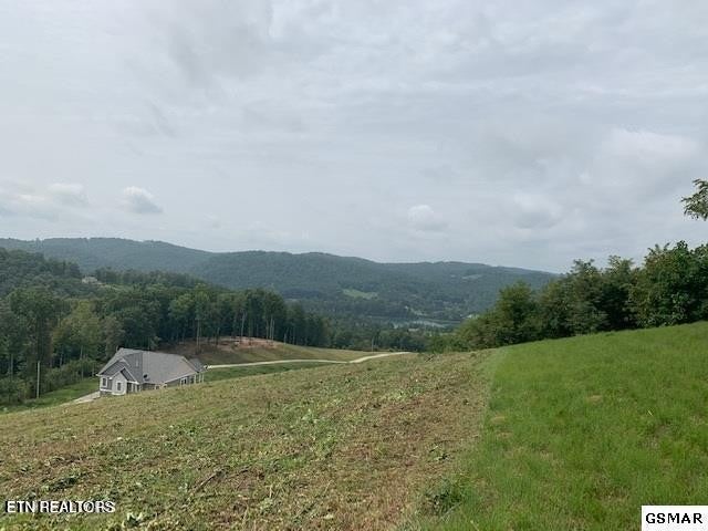 0 Mountain Way