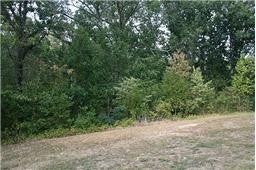 0 OAK HILL ROAD, LYLES, TN 37098 - Image f5691ac4dac6b00a4bdee20a9ab2b242/3817371326
