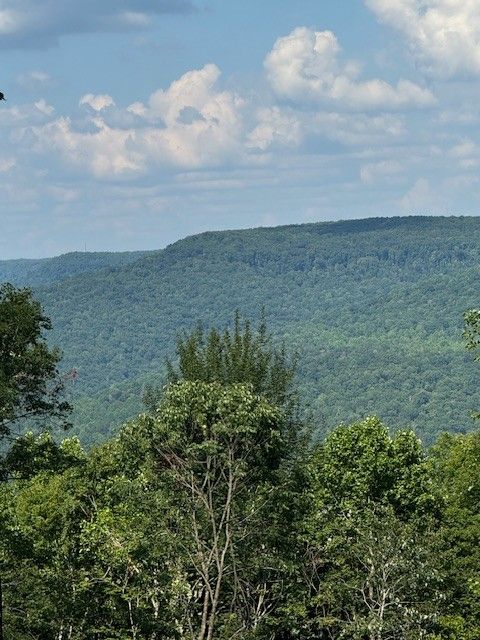 Round Cove Rd, Monterey, TN 38574 - MLS#: 2823787
